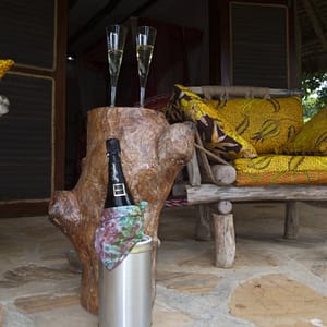 Honeymoon Celebrating