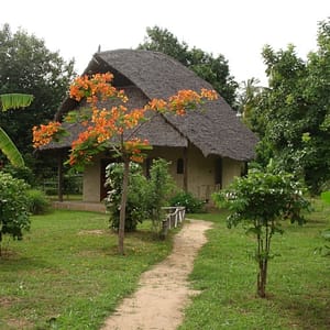 Makonde Garden