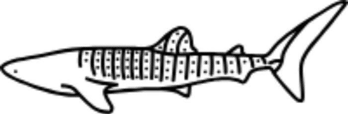 Whale Shark Icon